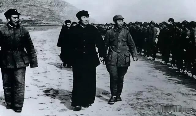 1949年9月，全国解放前夕，毛主席召见彭德怀和王震，商讨解放新疆的大计，提出争