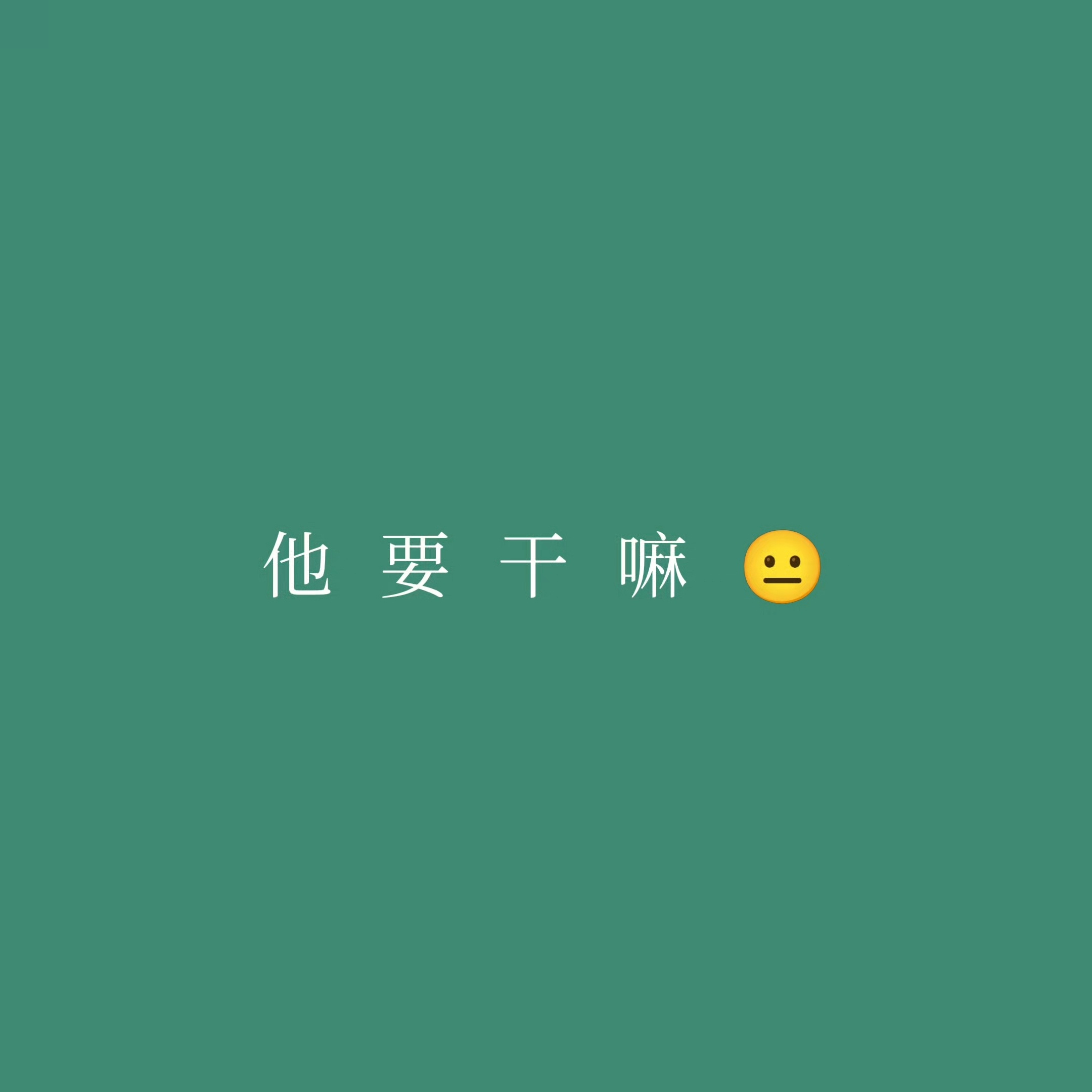 张云雷的最后一个夏夜 “他要干嘛”这句语气为何如此萌上班不会为工位花一分钱