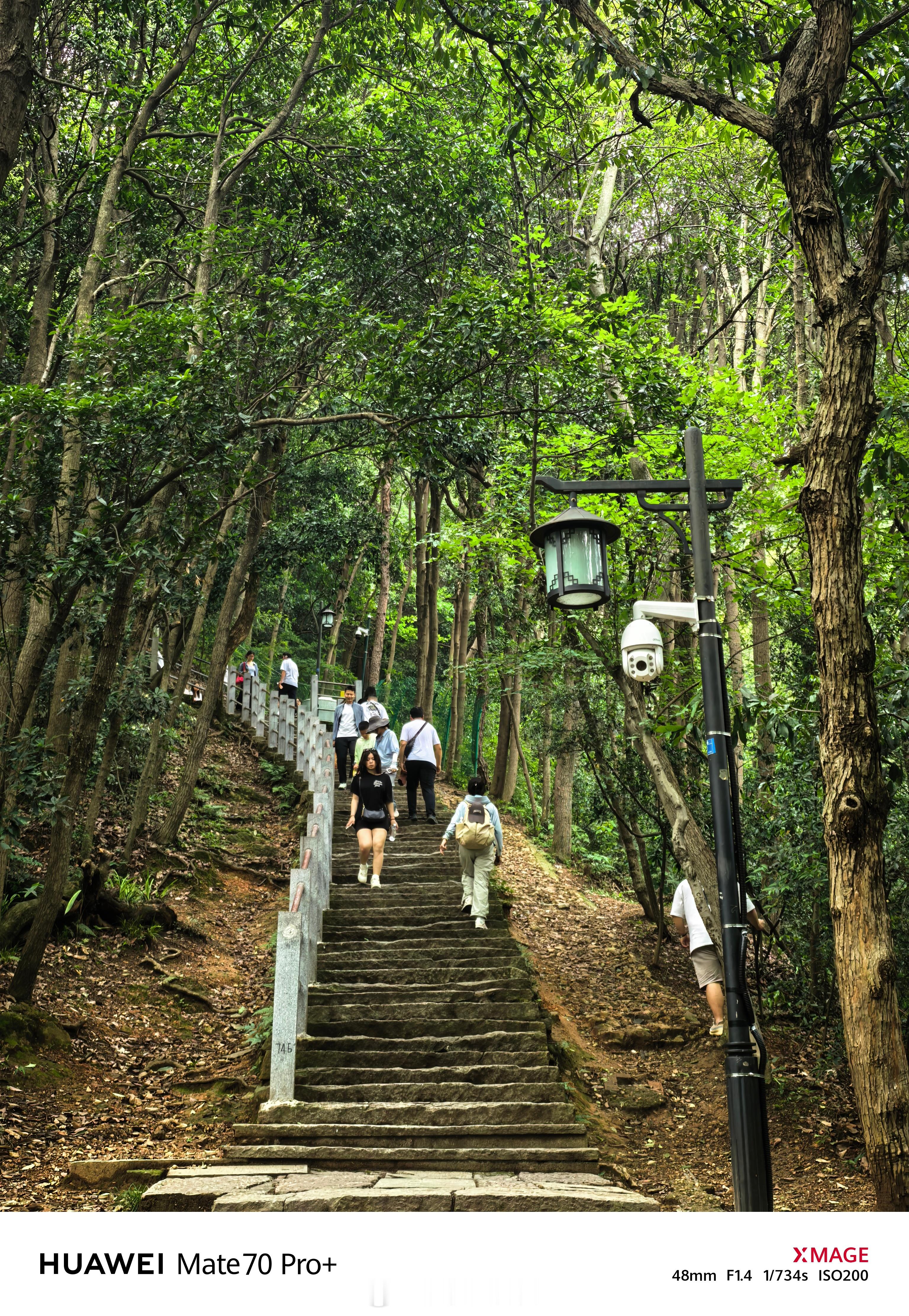 4点半的高铁，我现在还在爬山，算不算旅游特种兵[doge][doge] ​​​