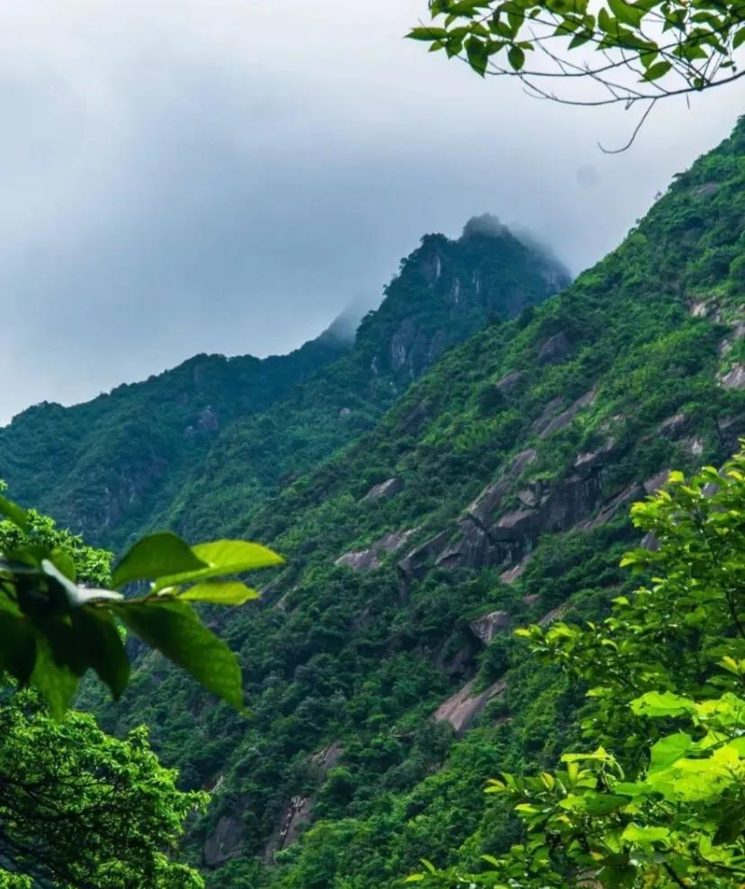 开个淘宝店，卖山上采的东西会不会被打假
淘宝个人店铺，没有营业执照会不会被打假，