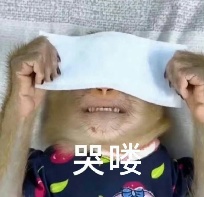 吗喽表情包  真的很实用[开学季] ​​​