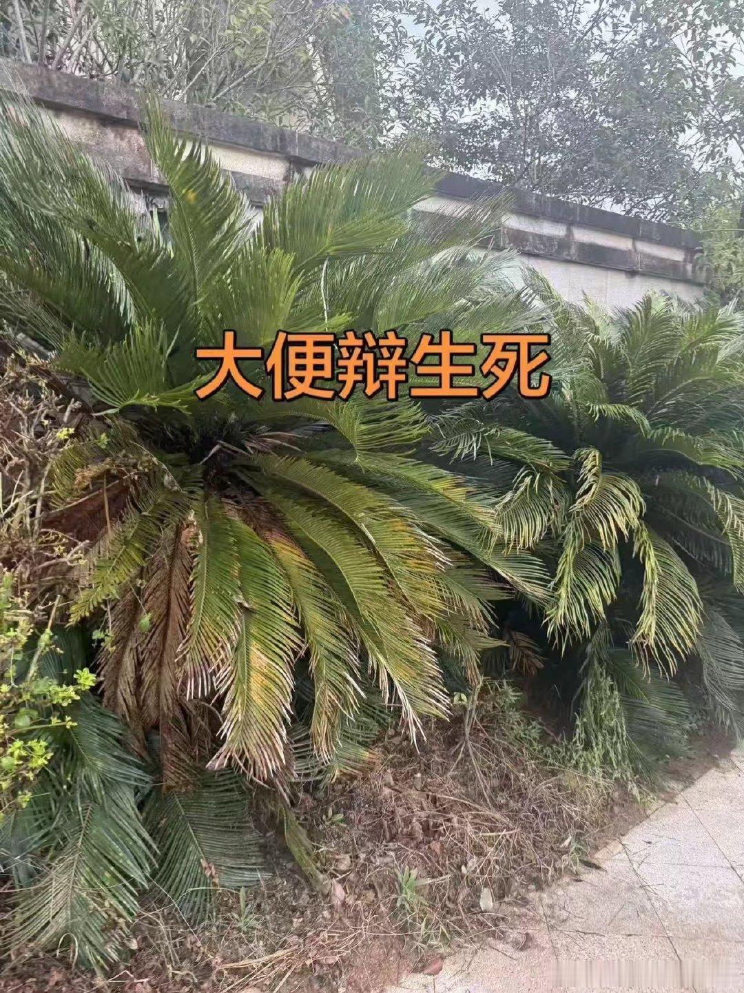 绝境迎难而上！伦敦世乒赛男团半决赛，梁靖崑3-2逆转艾利克斯·勒布，拼下宝贵第二