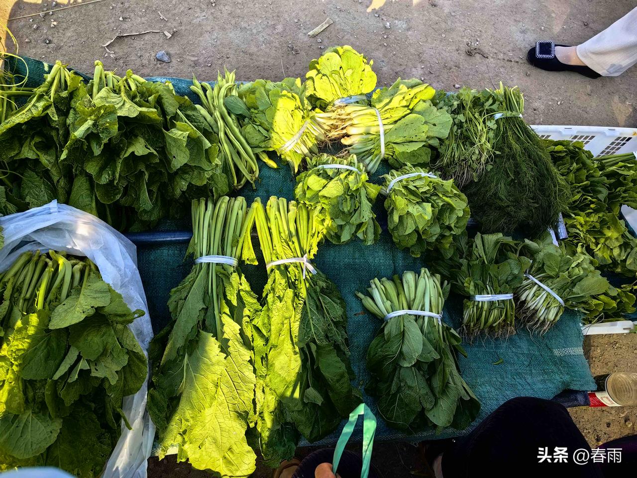高纤维蔬菜虽好，但不是所有人都适合多吃

很多人总觉得多吃高纤维蔬菜通便养胃，其