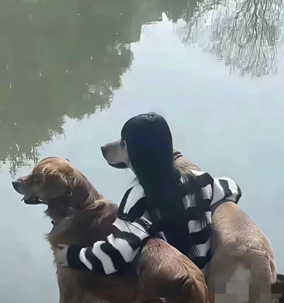 网友: 论拍照技术，没有服过谁！自从碰到我家老公，真是彻底的大服特服了！