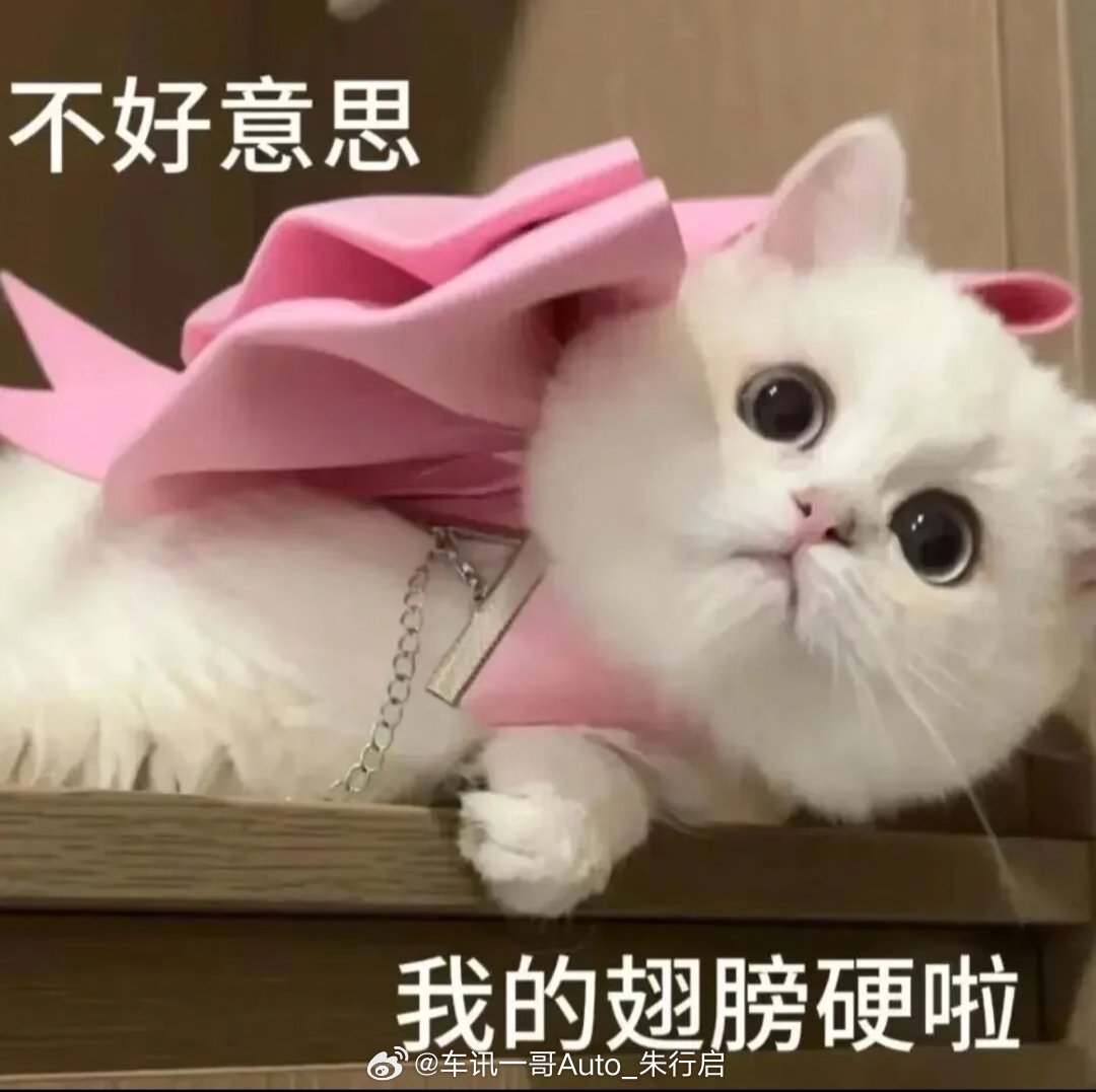如果月薪3千的你打算买一件10000的羽绒服为即将到来为期3个月的寒冬做准备[写