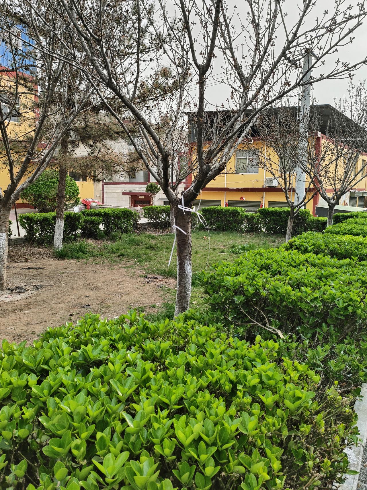 年轻的时候，总觉得自己懂的多、过得新潮，看父母的各种习惯，横竖都不顺眼，一门心思