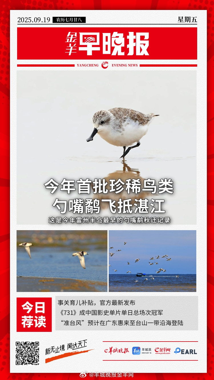 #金羊早晚报# “准台风”预计在广东惠来至台山一带沿海登陆 事关育儿补贴，官方最