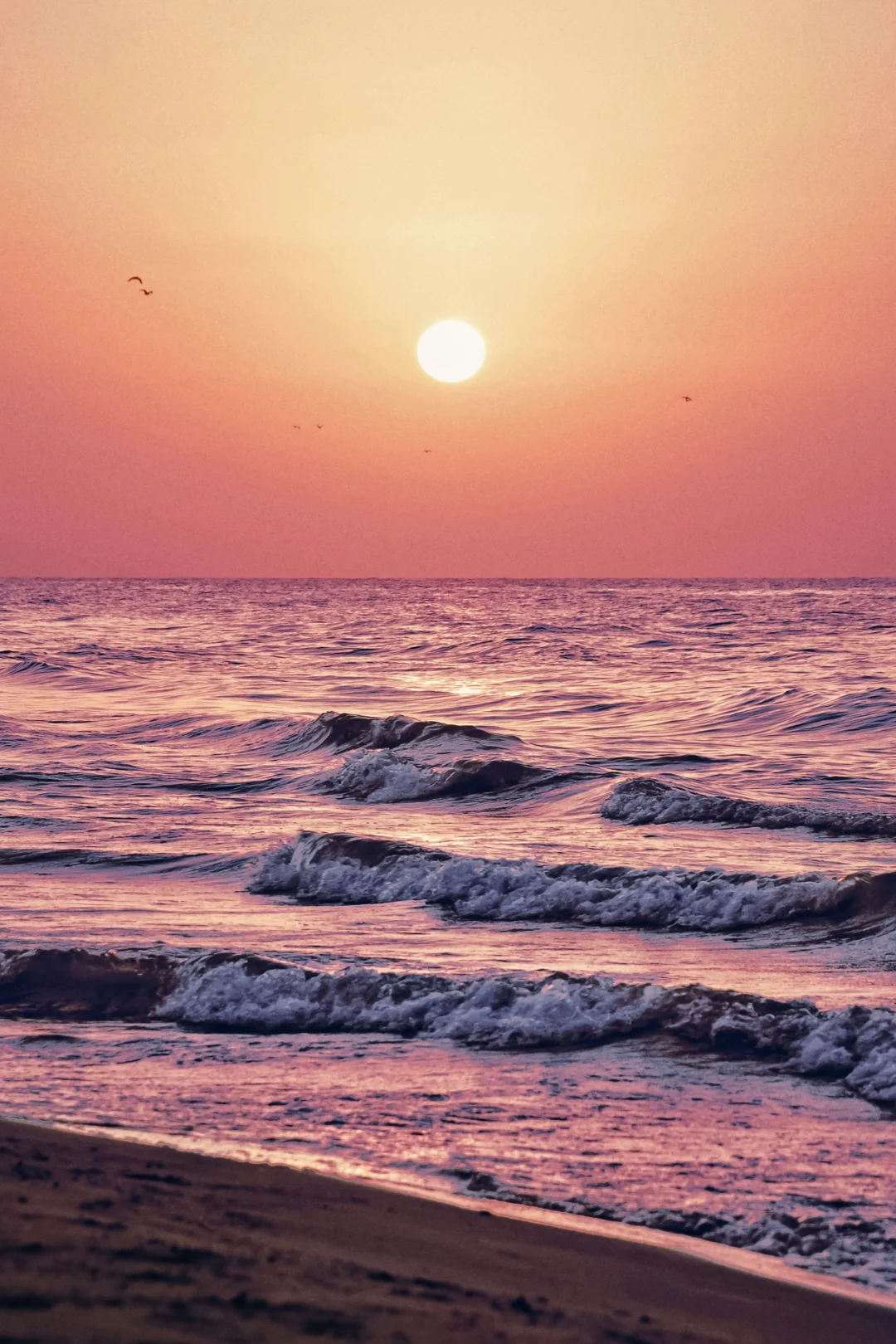 𝓢𝓾𝓷𝓼𝓮𝓽