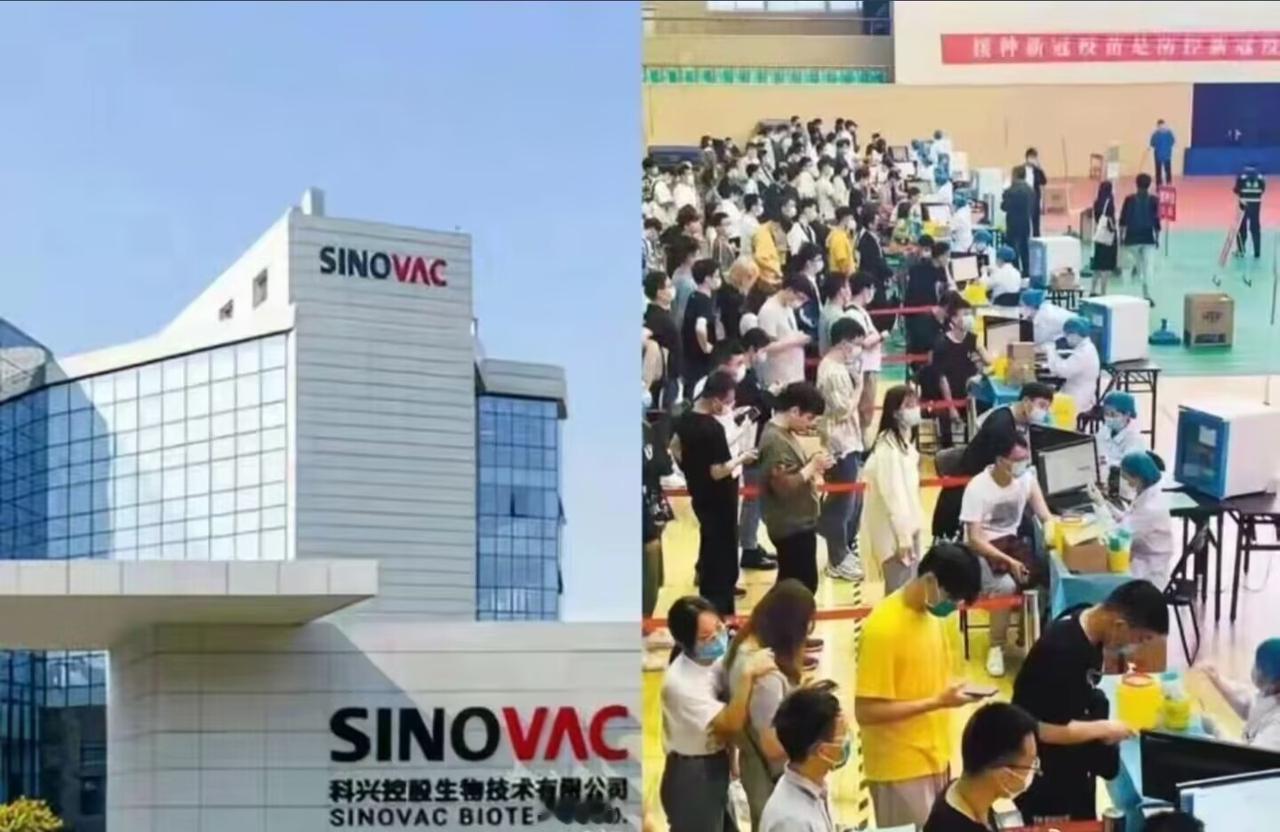 当年扎遍全球28亿针！一年狂赚 955亿的科兴，说被纳斯达克扫地出门就扫地出门，