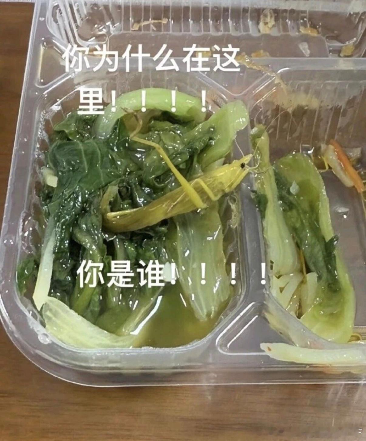 5595荤菜素价 