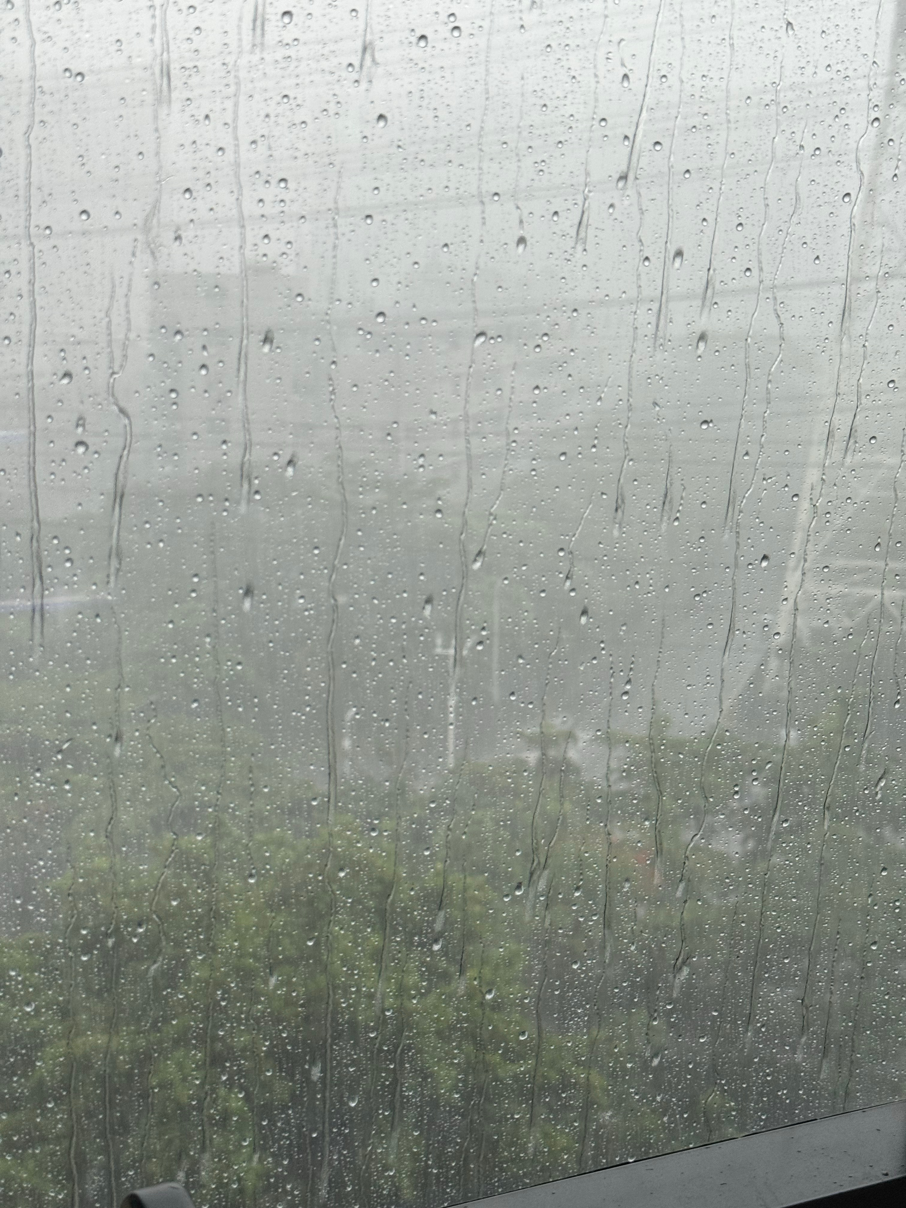 深圳人又被上班雨浇透了 这个雷暴雨好适合在家睡午觉啊[允悲]但是谁懂现在在工位看