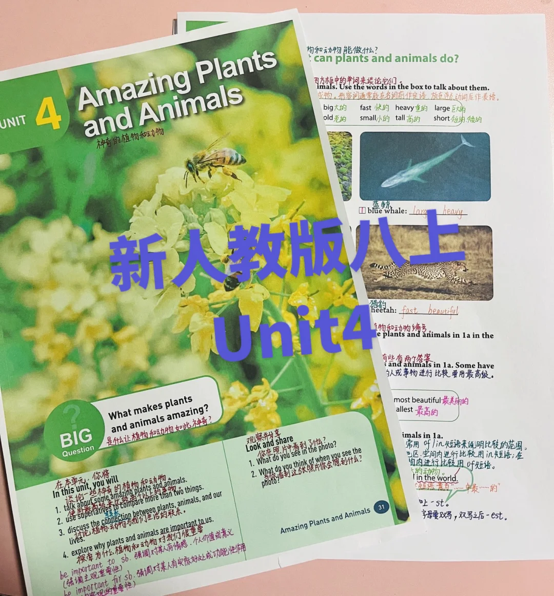 新人教版八年级英语上册Unit4笔记来啦