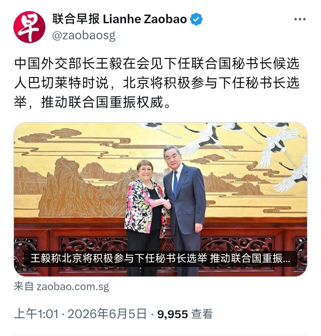 中国外交部长会见下任联合国秘书长候选人。6月5日，新加坡联合早报报道：“中国外交
