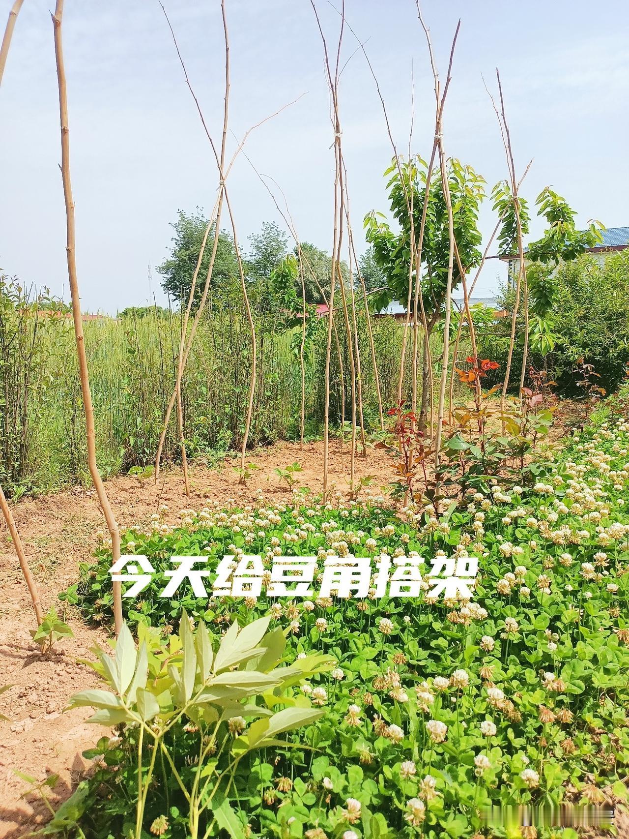 都是些碎碎的事儿，却搞得人一天精疲力尽，玩弄上一晌午庄稼，还没来及翻手机，就呼呼