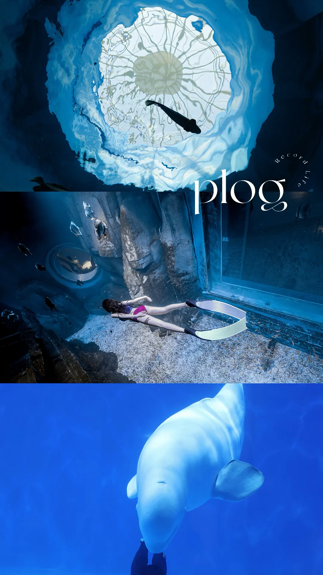 My life|年度旅行地必打卡地➕1