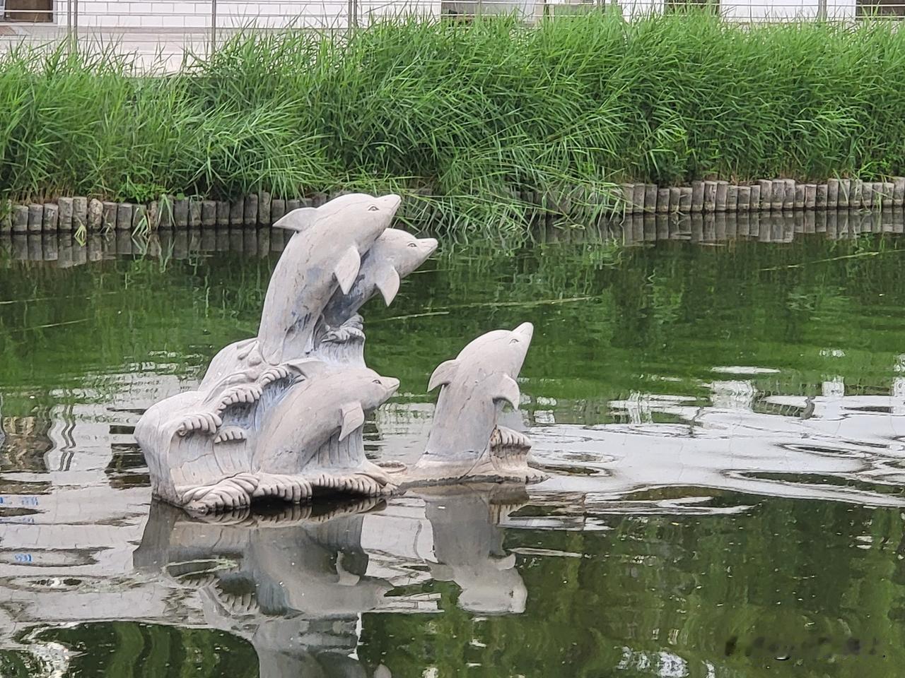 随手拍的风景照拍的不是很好，但不一样的风景一定会有不同的感受。