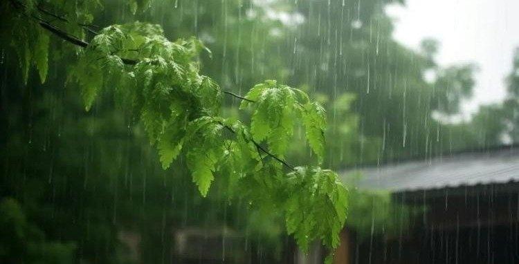 凤凰新闻【降雨+降温！准备厚衣服，北方同期少见的秋雨来了】国庆中秋长假接近尾声，