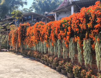 日本最好的出路，就是做东亚后花园。日本这几天又在闹地震，对日本来说，这都已经是家