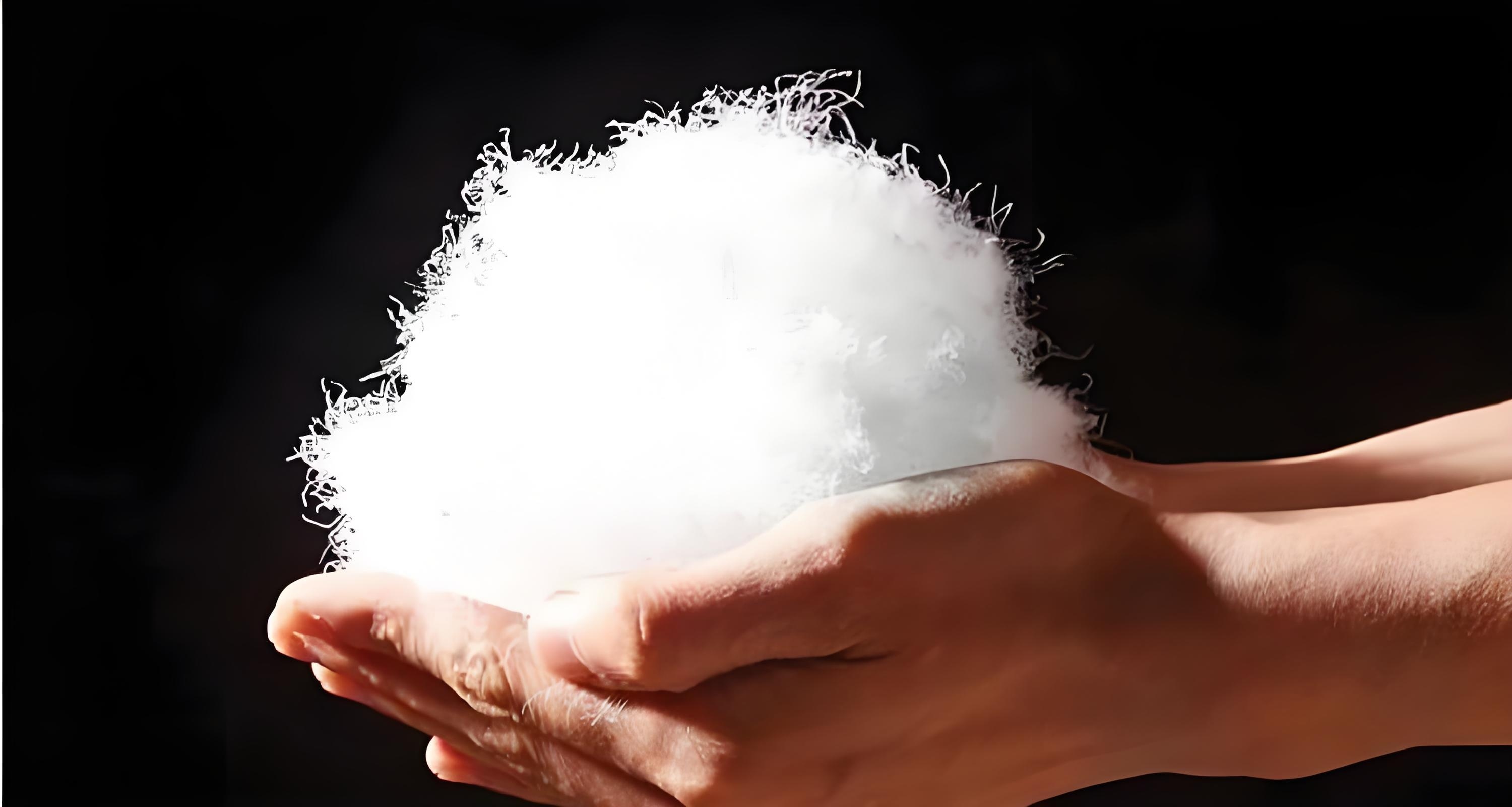 选羽绒服别再只看含绒量了 “绒子含量”和“含绒量”不是一回事，绒子是朵绒、未成熟