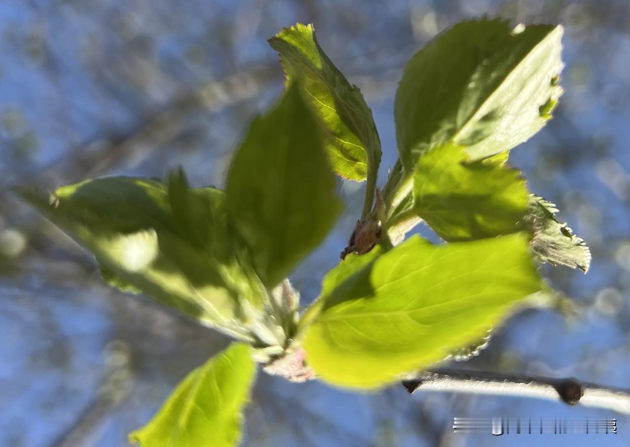 私家车年检的意义是什么?
1. 排查安全隐患车
刹车不灵、灯光不全、轮胎报废、转