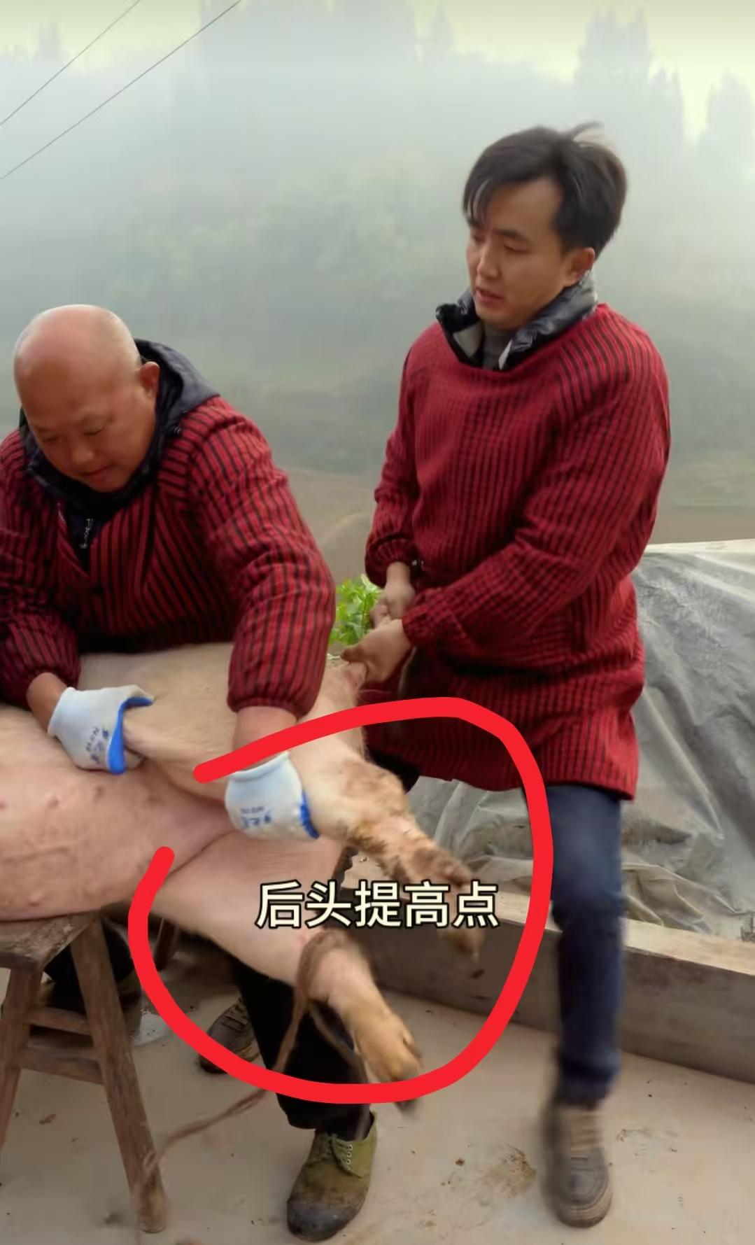 我预料到了徐三娃会办杀年猪刨猪宴
也预料到了他岳母娘新房建房收尾，可能会一起搞宴