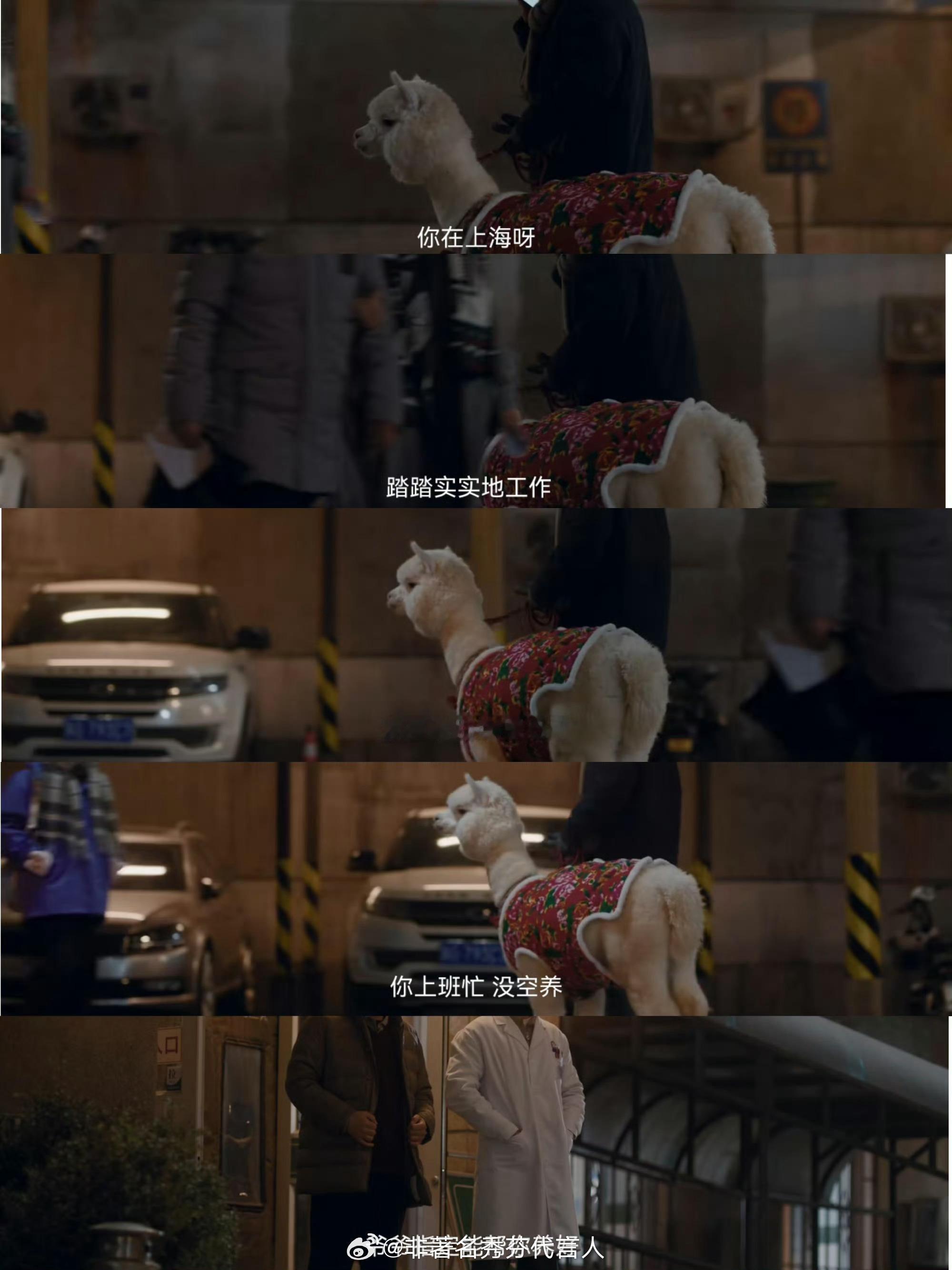 小城良方观众发力了感觉这部剧会火，天才医生回东北卫生院被治愈的设定太戳人了，看完