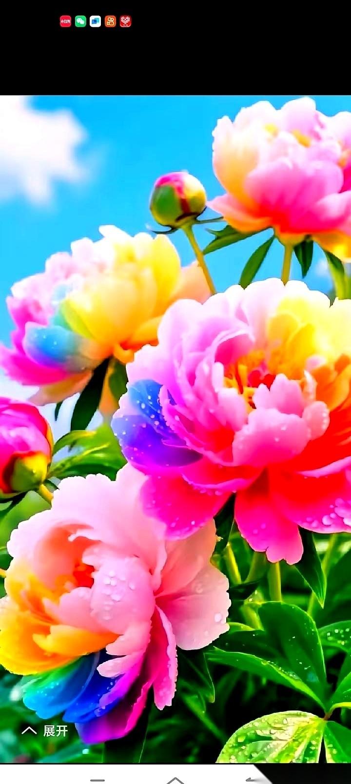 我跟你说，人老了最爽的一件事，就是终于可以理直气壮地“自私”了。
前半辈子，活得