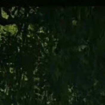 学会忍耐，往往比强势更可贵。路过的人，沿途的风景，不同的感受，无与伦比的心情，只