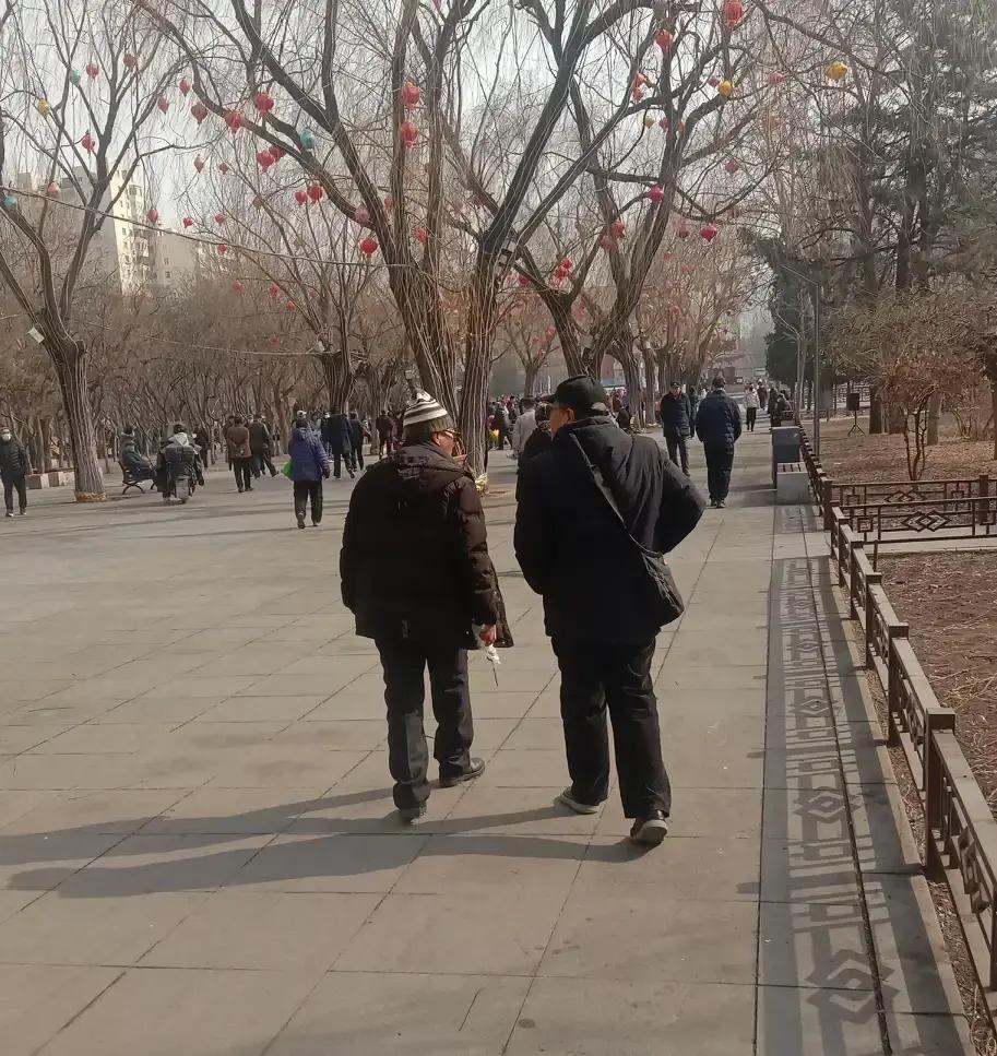 公园俩大爷抢一根糖葫芦，一个说牙口不行咬不动，一个说血糖高只能舔两口，最后干脆坐