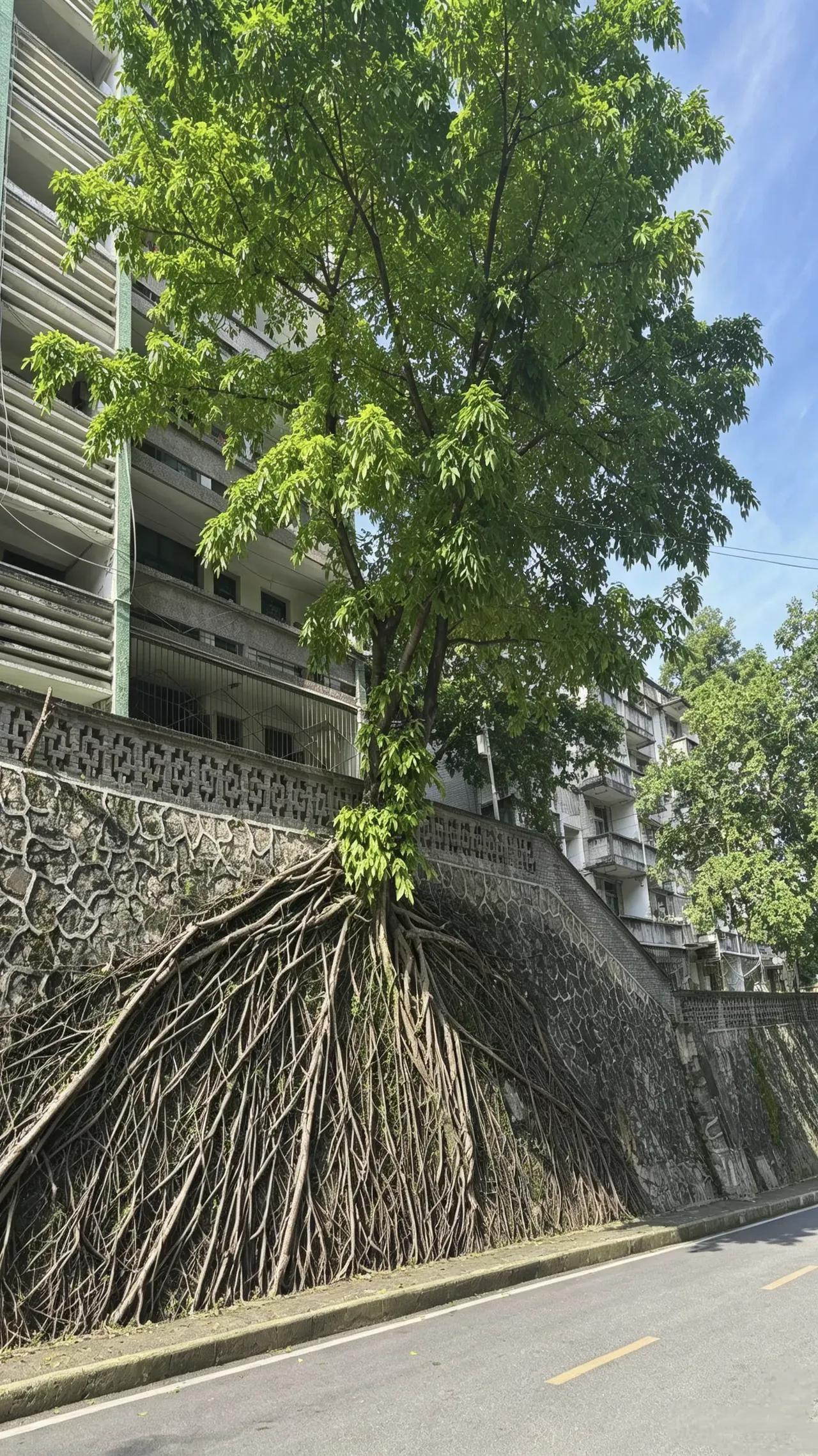 一位猛人说：
“没钱就出去挣，挣不来大钱先挣小钱；没对象就出去找，找不到好看的就