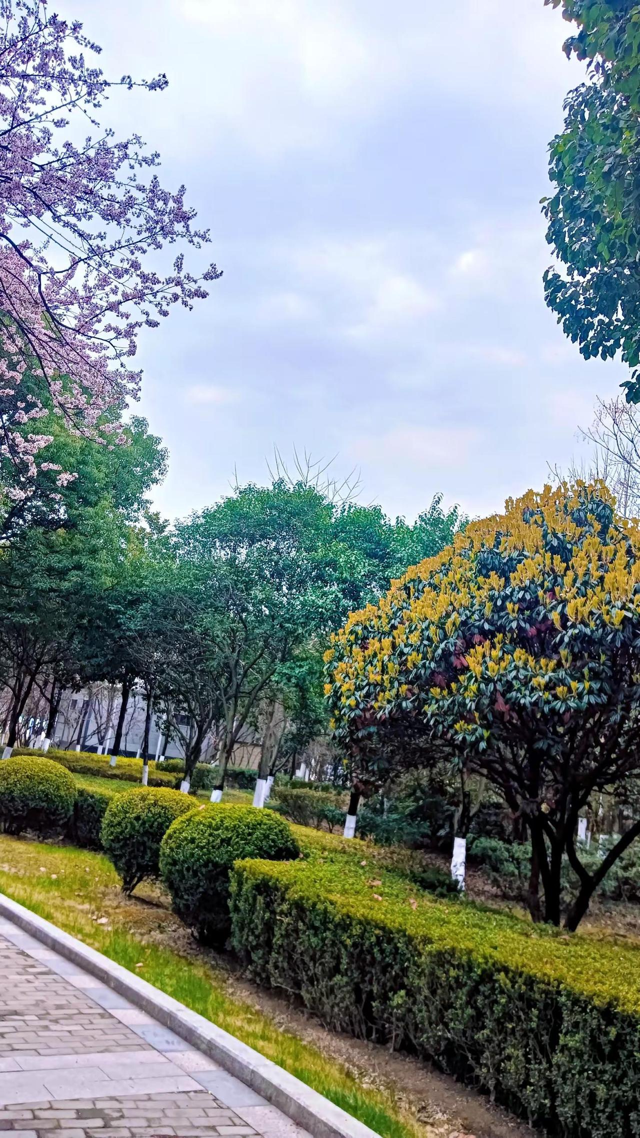 公园绿化 身边即风景 公园里的风景