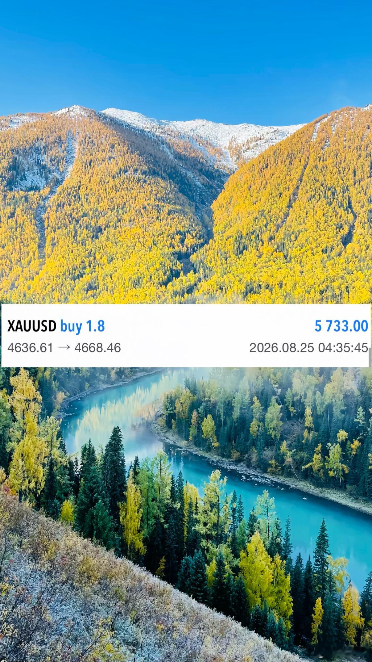 黄金 刘先生早间蕃仓开门红！！哆单布局洛带32典！！！深耕当下，静待成功黄金外汇