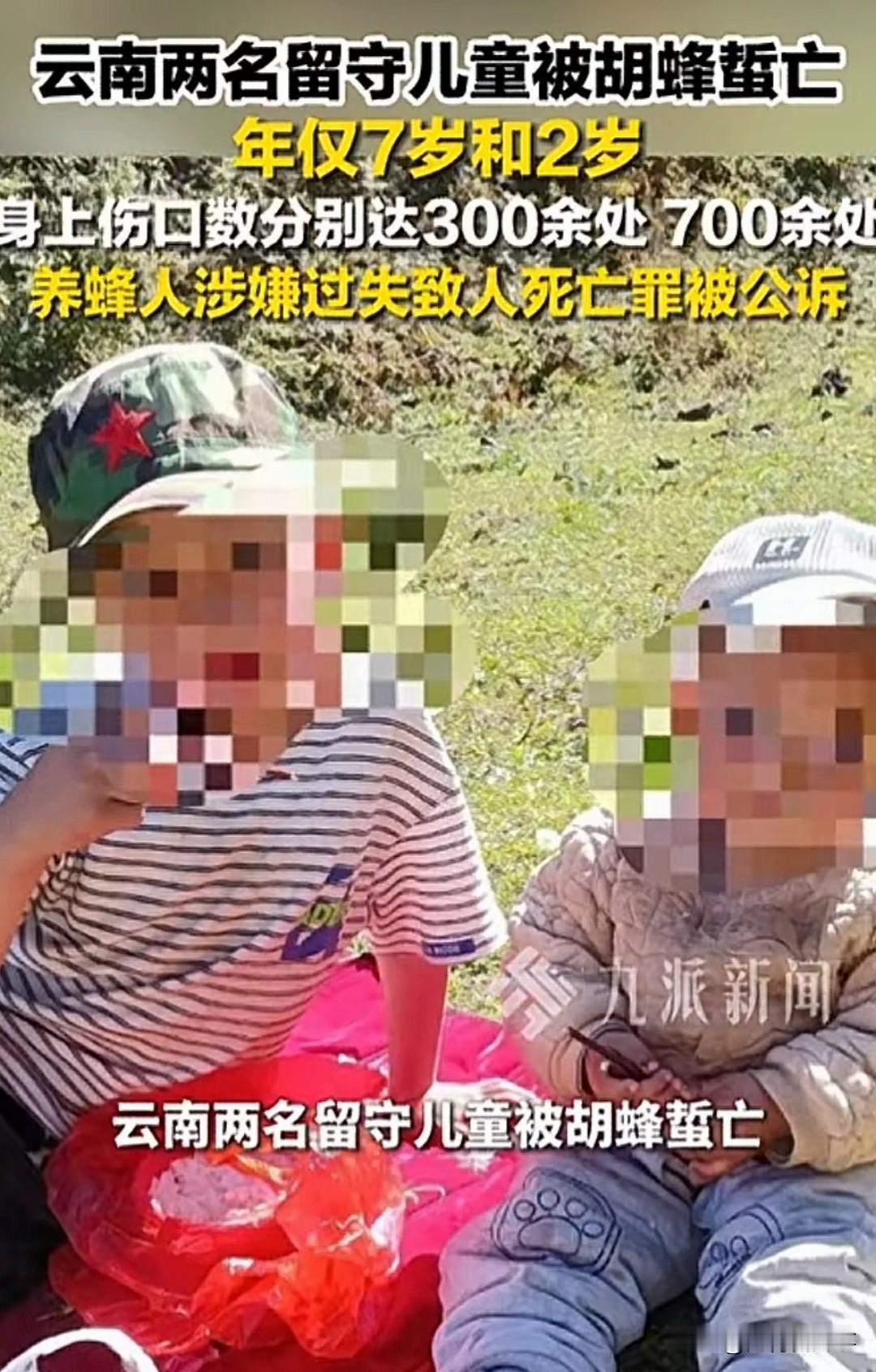 云南牟定，一个7岁男孩和一个2岁女孩在村边空地玩耍。附近山林里多了一排木箱，里面