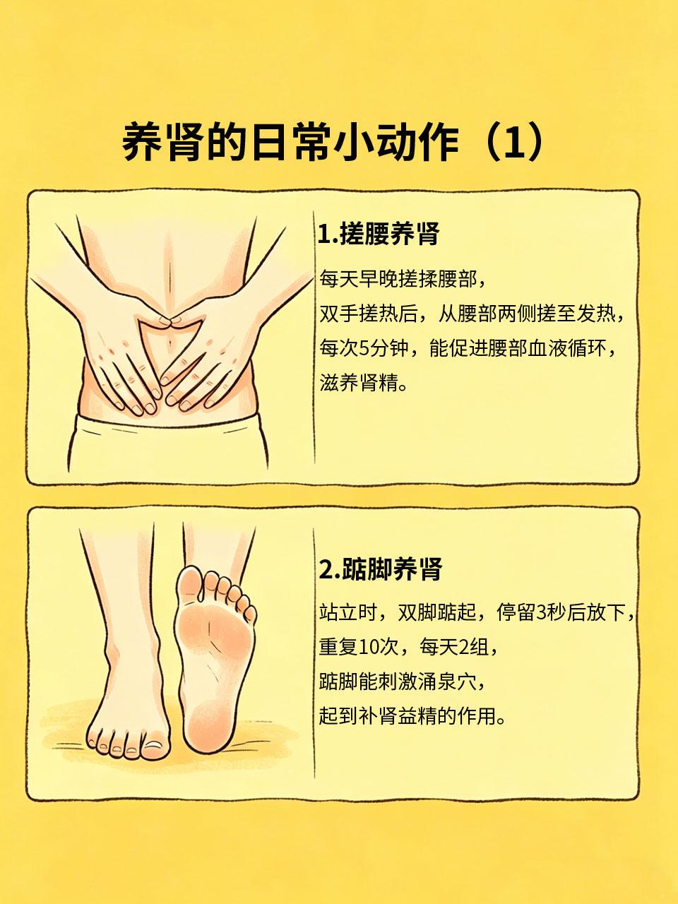 中医说：养肾就是养命，日常小动作超简单
中医常说“肾为先天之本”🦴，养肾就是养