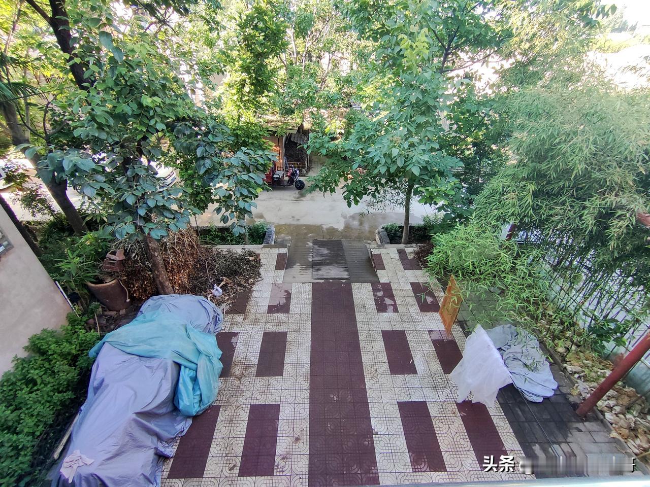 万能条友们，麻烦大家给设计一下，
院子想改造一下，修一个围墙和大门！
再种点花花