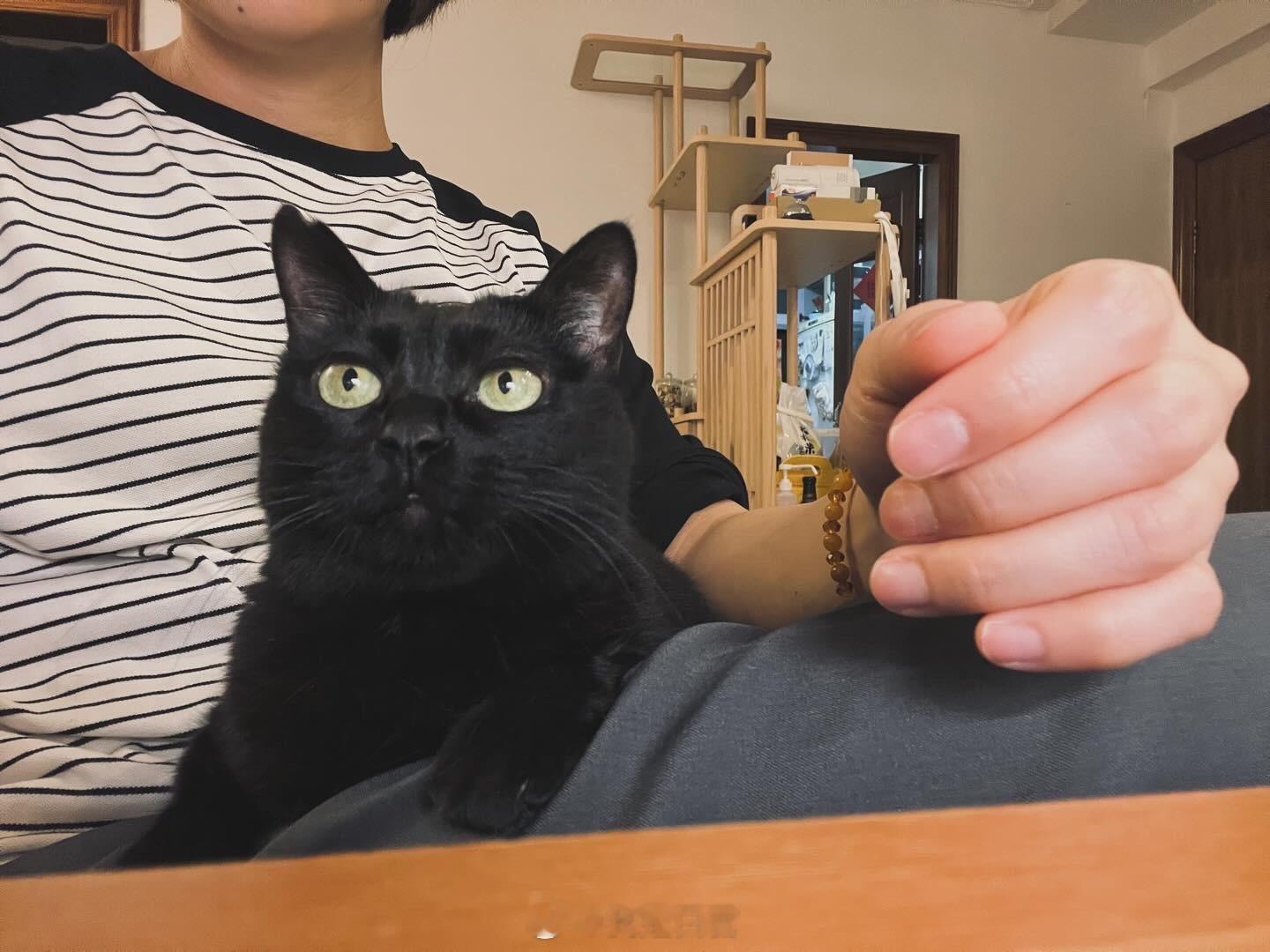 小別之後，就變得更黏人🦞#蝦蝦不可以太可愛# ​​​