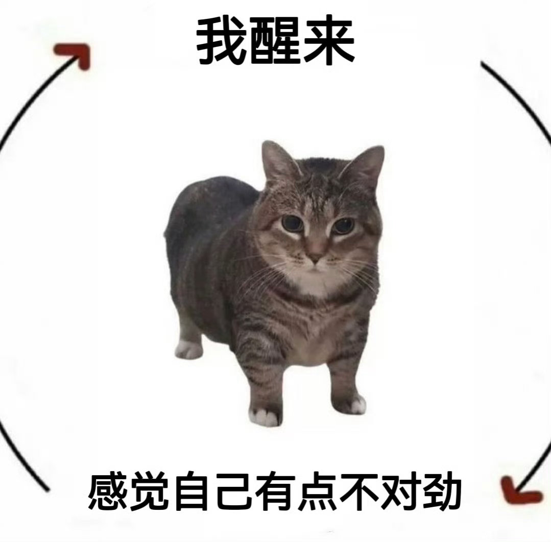 非常坏周三 