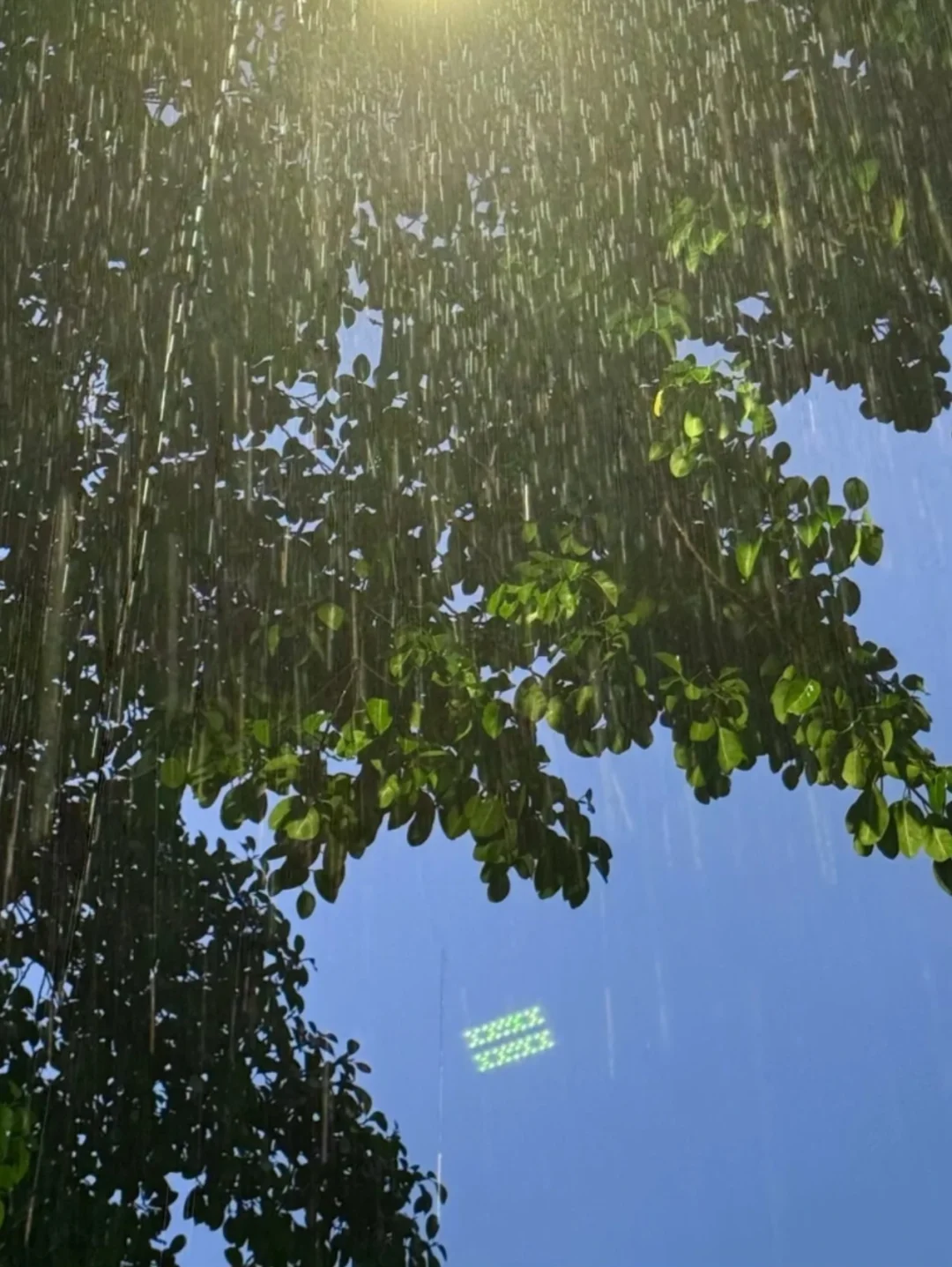 万般：雨天的氛围感，你get了吗？