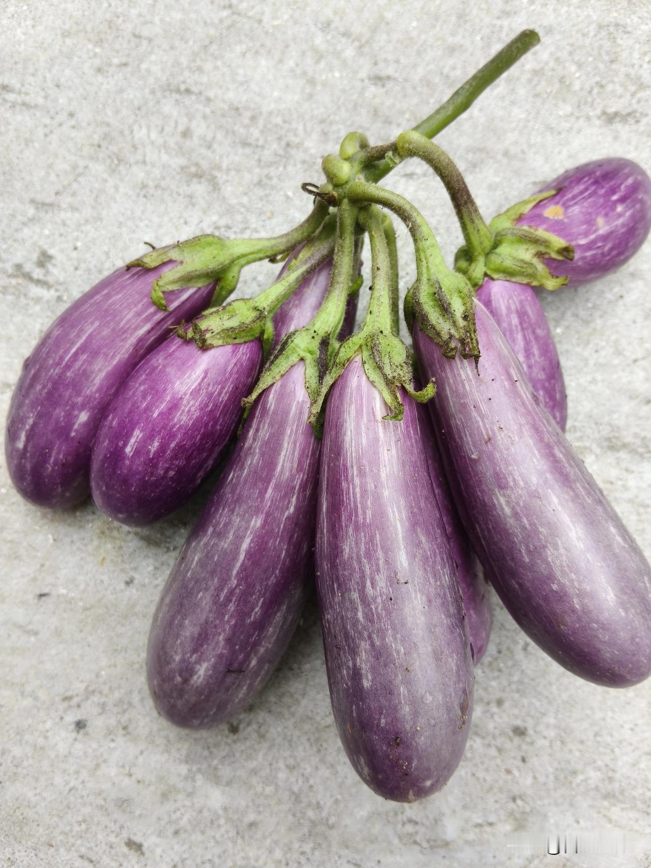 这几波人，
把我们整晕 菜了！

院子前面河道边，两棵老栗 子树下面有一块空地，