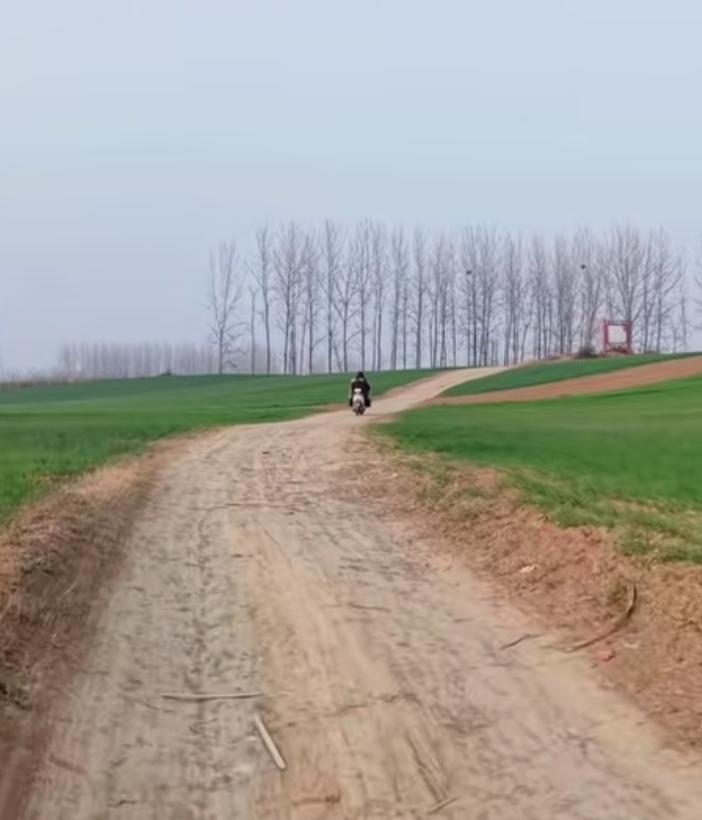 又稀里糊涂过了一年！