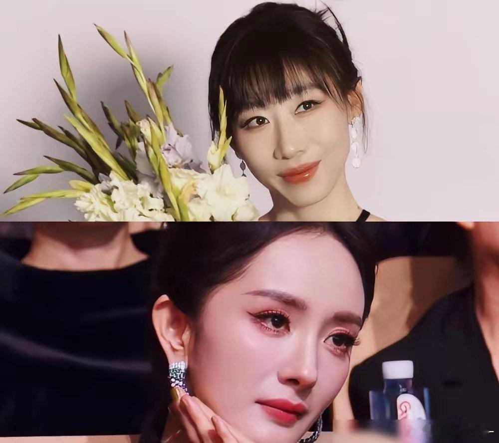 其实大家心里都明白，白玉兰视帝视后一开始就不会给《生万物》和《藏海传》，不是因为