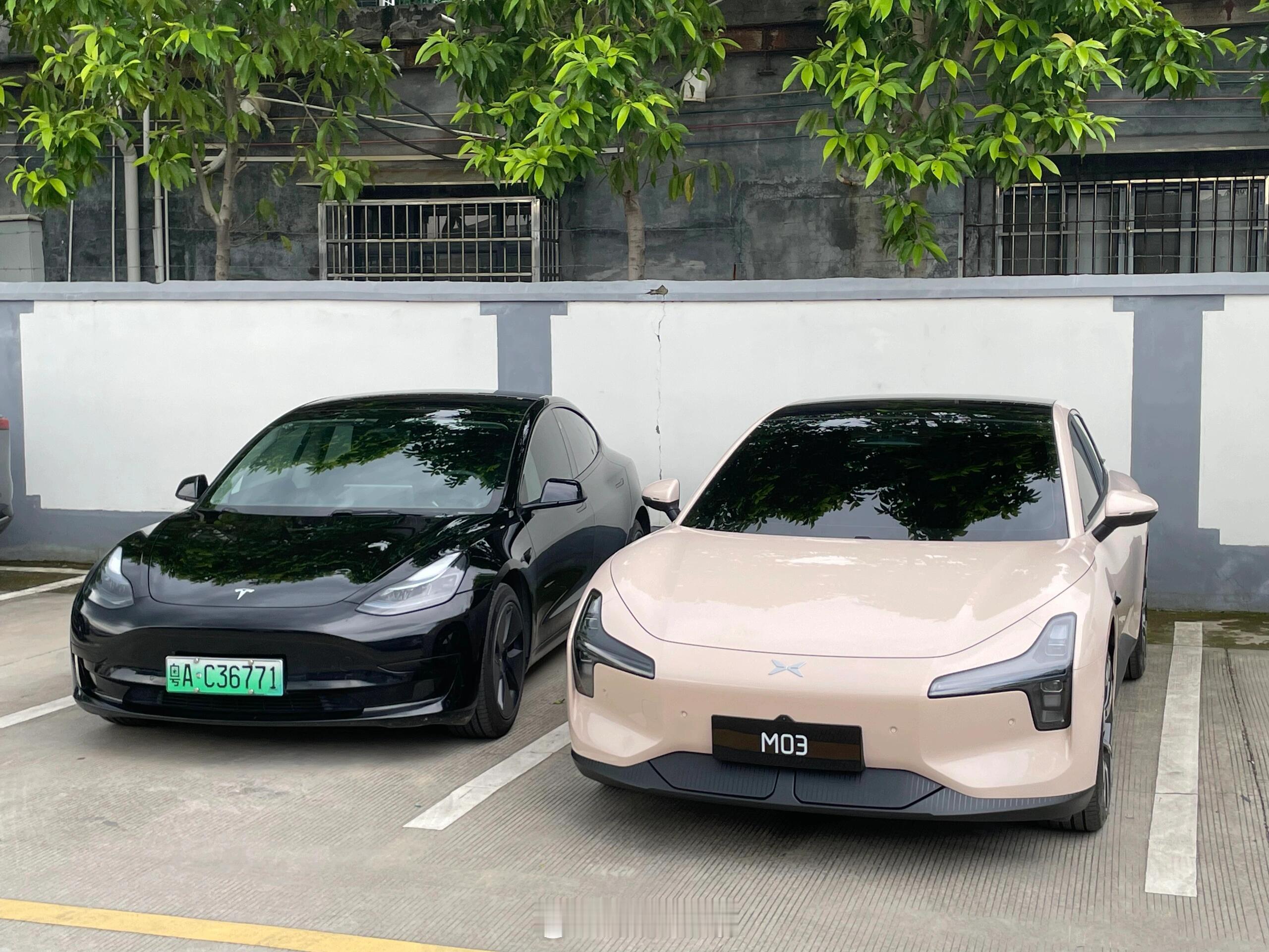 小鹏M03和特斯拉Model 3同框，这俩车如果放你面前让你选，你会选哪辆？#小