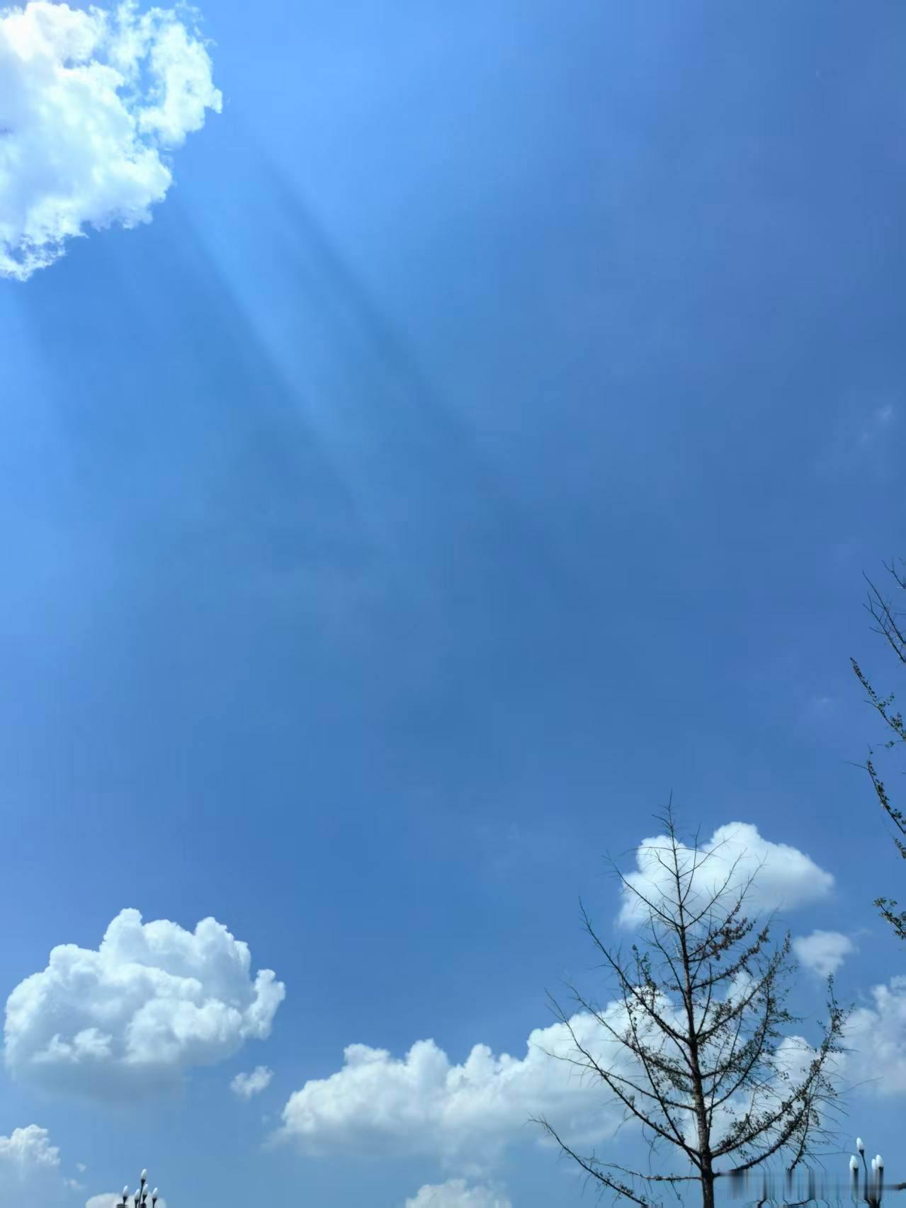 暑假记忆最难忘的就是热我的元气假期