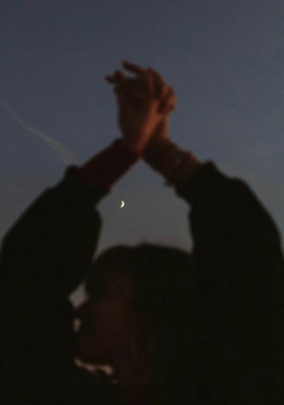 李娟《冬牧场》中有一句：大家都愿意盲从，好像这个世界上最安全的事就是让自己消失在