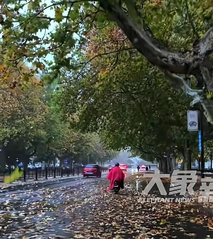 北方的朋友，这个周末一定要带上自己的家人，好好欣赏一下最温暖的冬天
相关部门发布