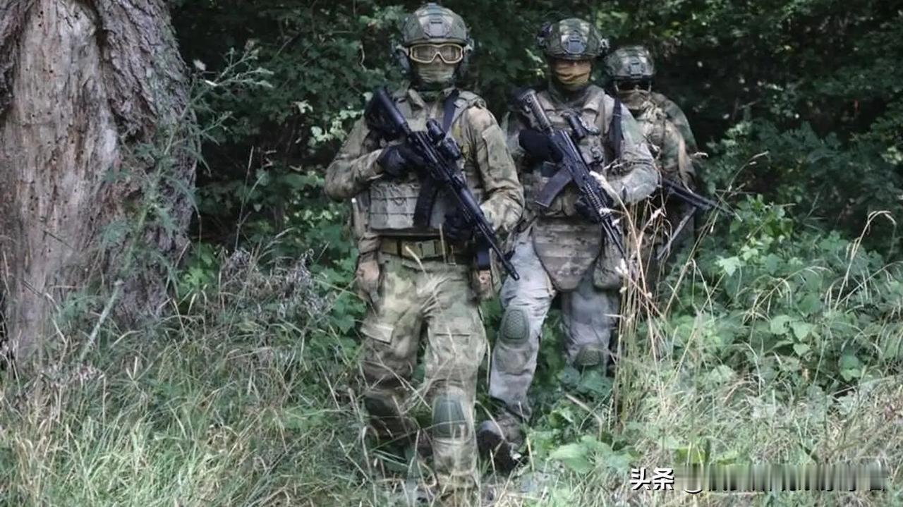 解放马克西米扬诺夫卡，包围塞利多沃的乌克兰武装部队。截至10月19日东北军区局势