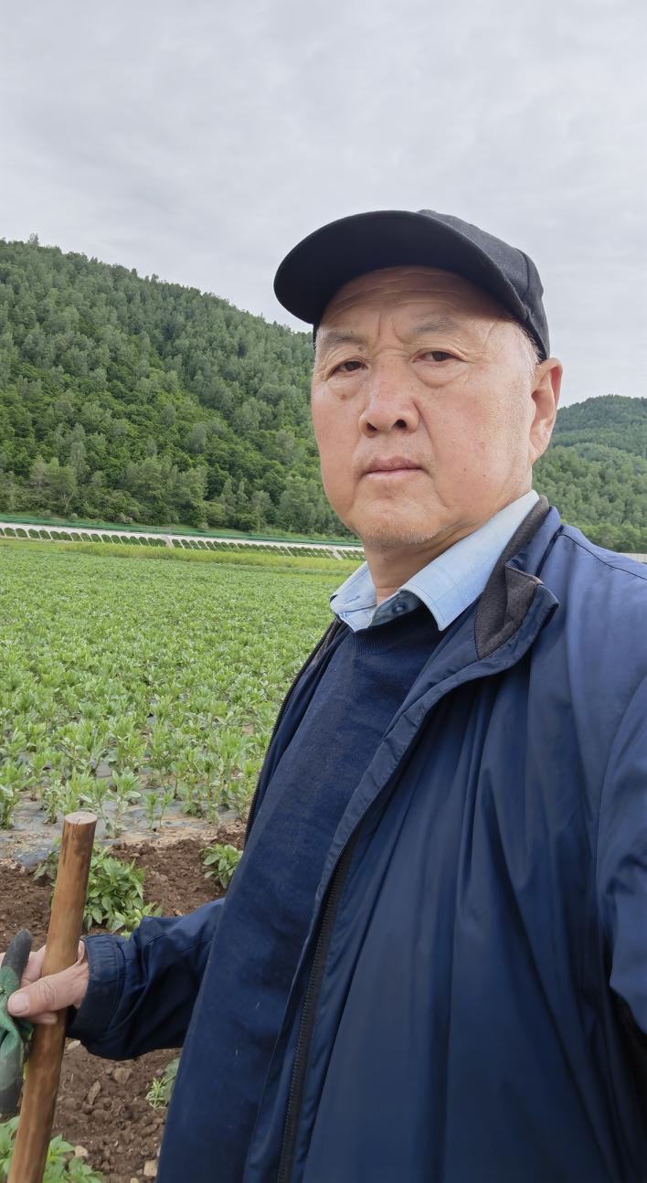 今早五点起床，五点半到地里开始给洋芋除草，七点半就完成了劳动任务，深深体会了劳动