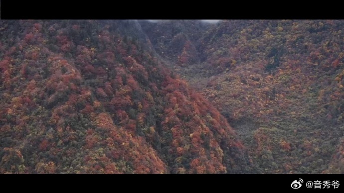 白马民歌抢救记录者在四川拍摄24年 24年如一日，纪录片《白马姐妹》用镜头捕捉了