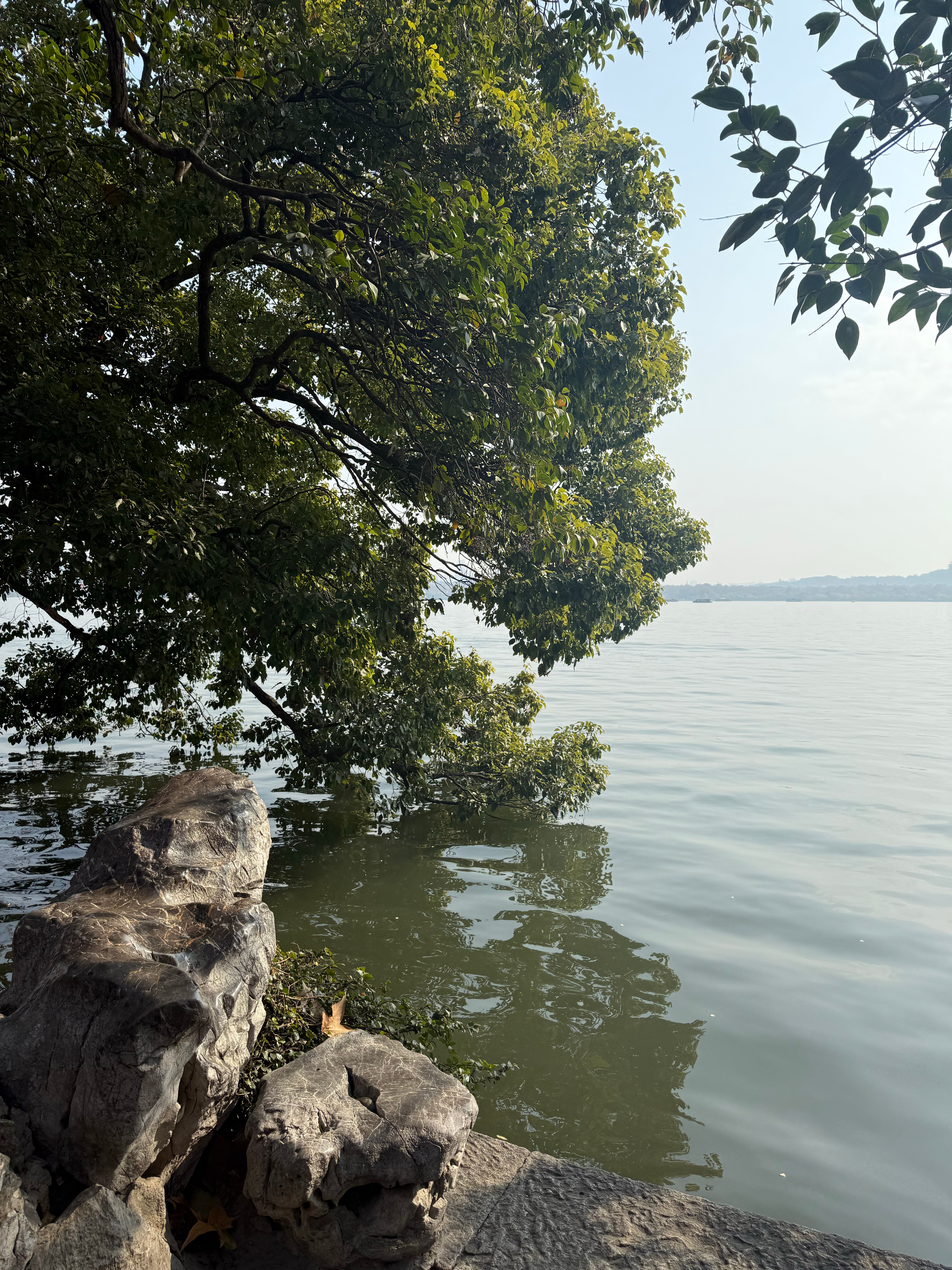 人像还没有修出来…先清一部分