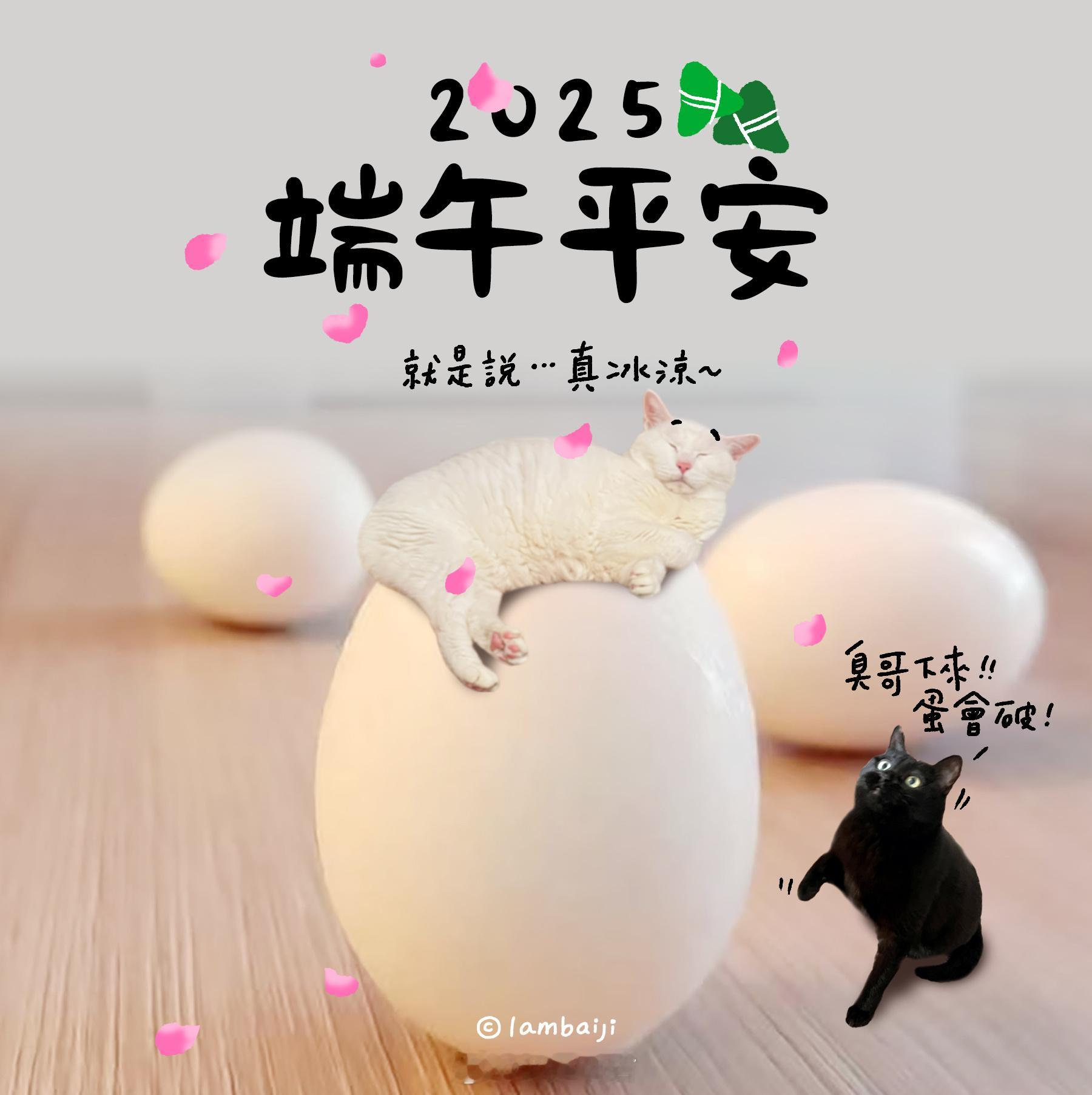大家～～端午安康🥚🌿 ​​​